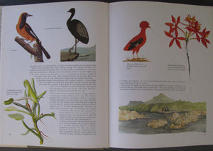 Margaret Mee In Search of Flowers of the Amazon Forests: Diaries of an English Artist Reveal the Beauty of the Vanishing Rainfor,Used