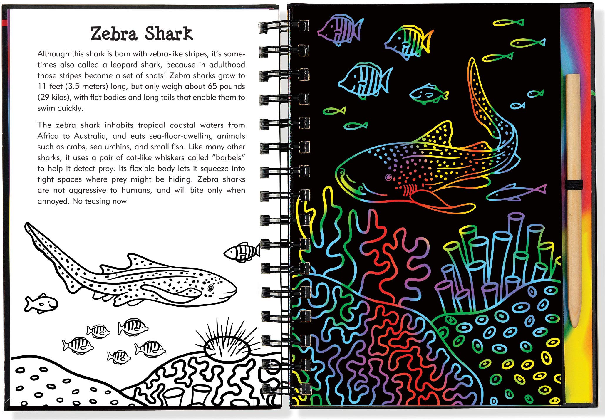 Scratch & Sketch Sharks (Trace Along),Used