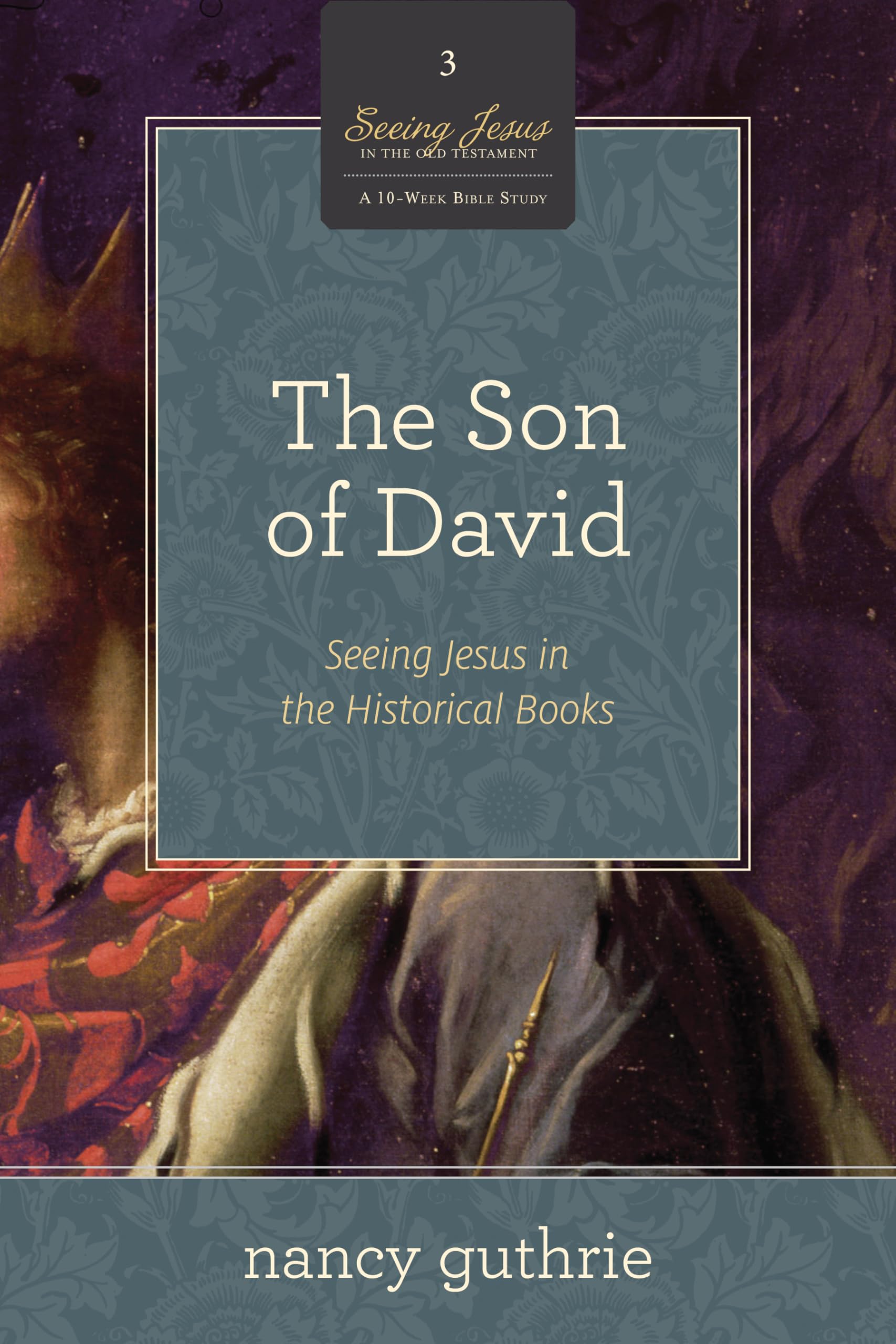 The Son Of David: Seeing Jesus In The Historical Books (A 10Week Bible Study) (Volume 3)