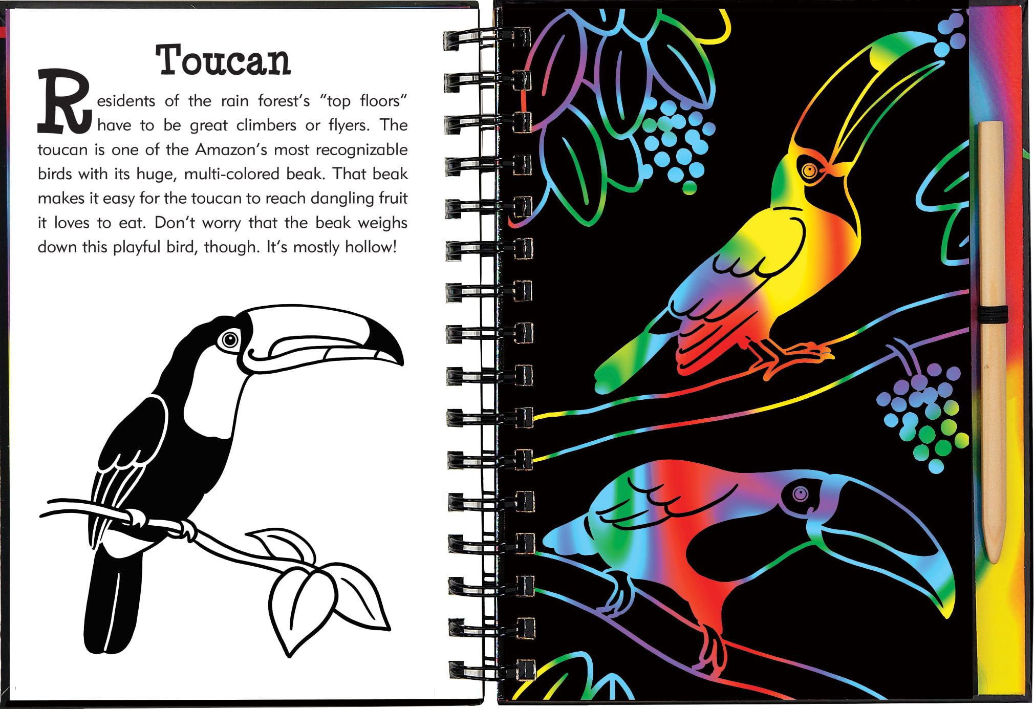 Scratch & Sketch Rain Forest (Trace Along),Used