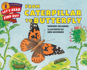 From Caterpillar To Butterfly (Let'Sreadandfindout Science 1)-used