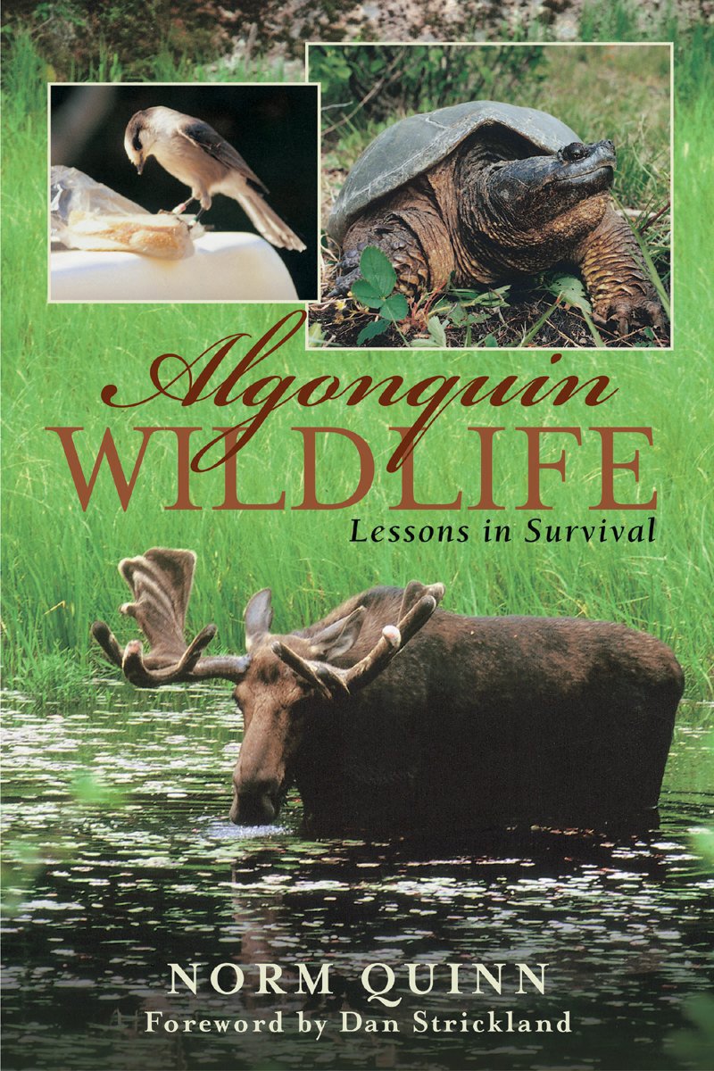 Algonquin Wildlife: Lessons in Survival,Used