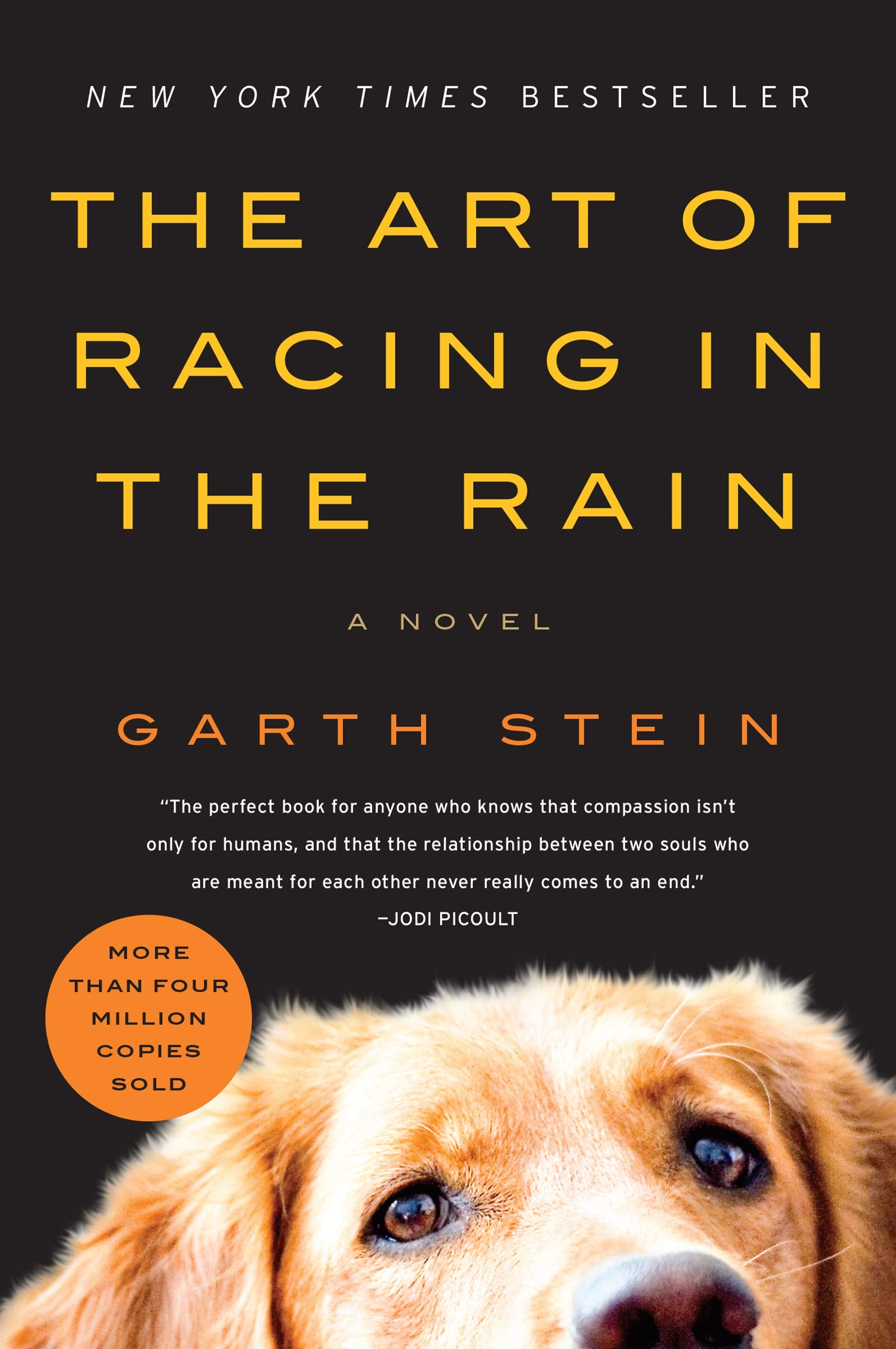 The Art of Racing in the Rain: A Novel,Used