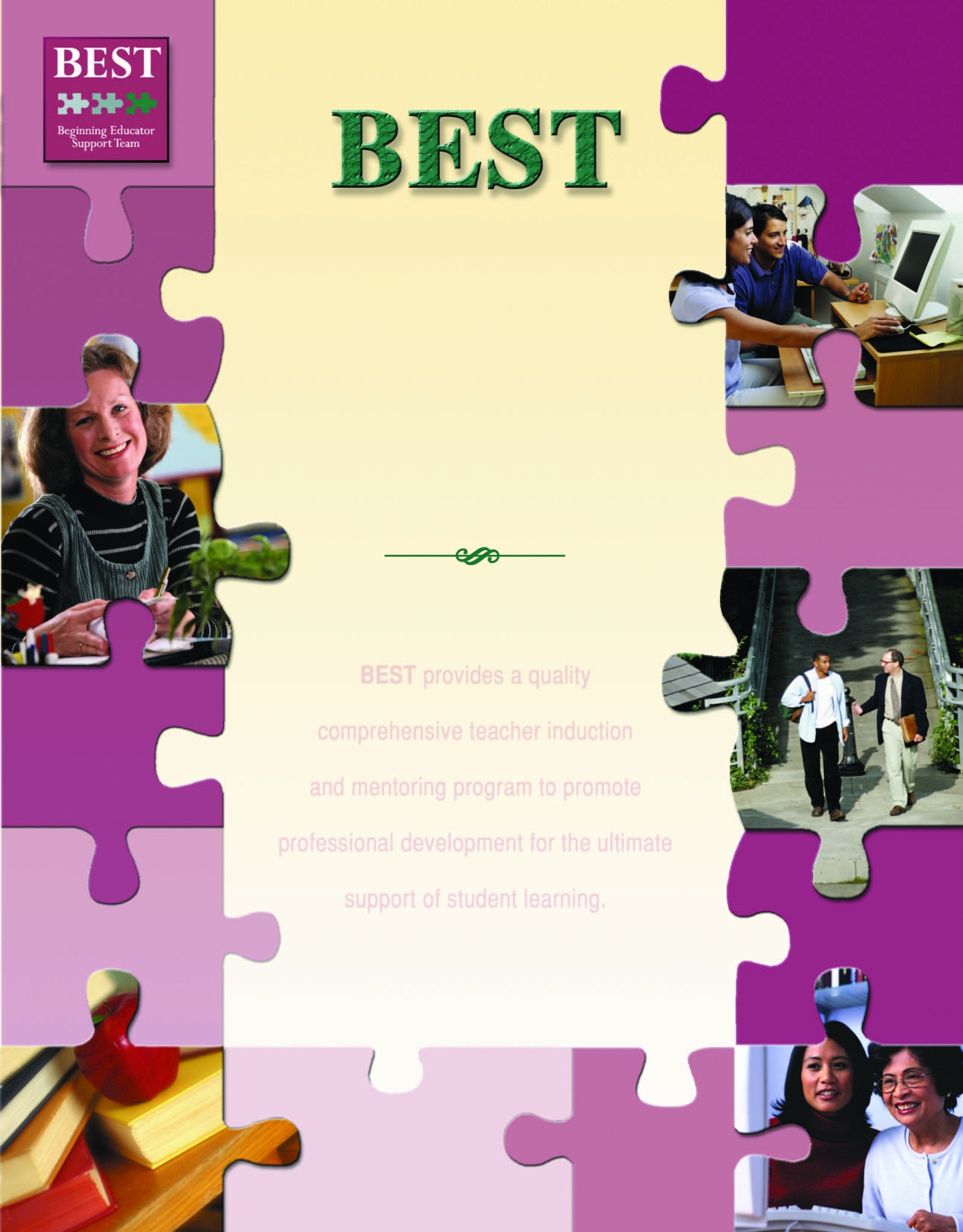 The Best Mentoring Experience: A Framework for Professional Development,Used