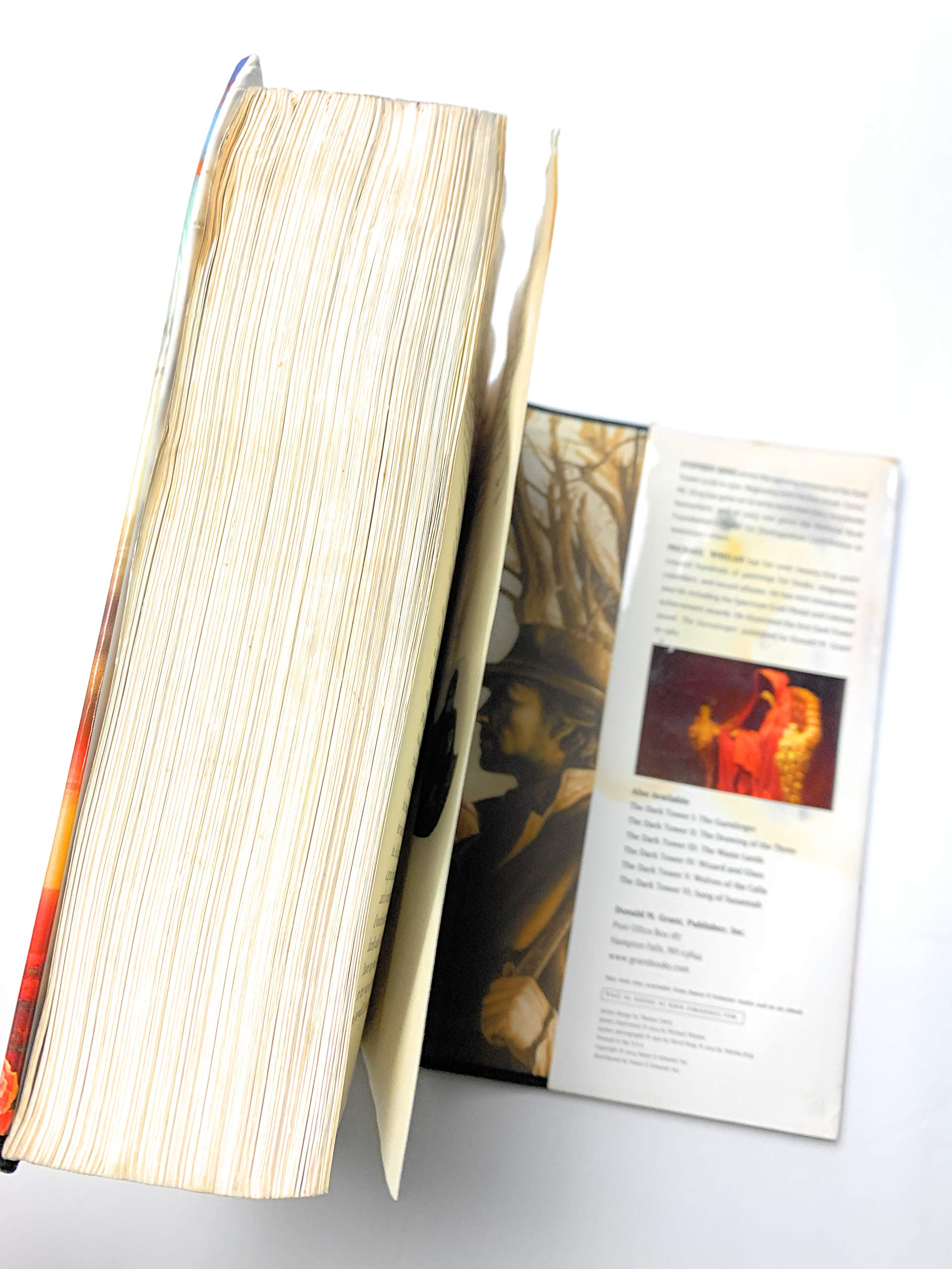 The Dark Tower (The Dark Tower, Book 7),New