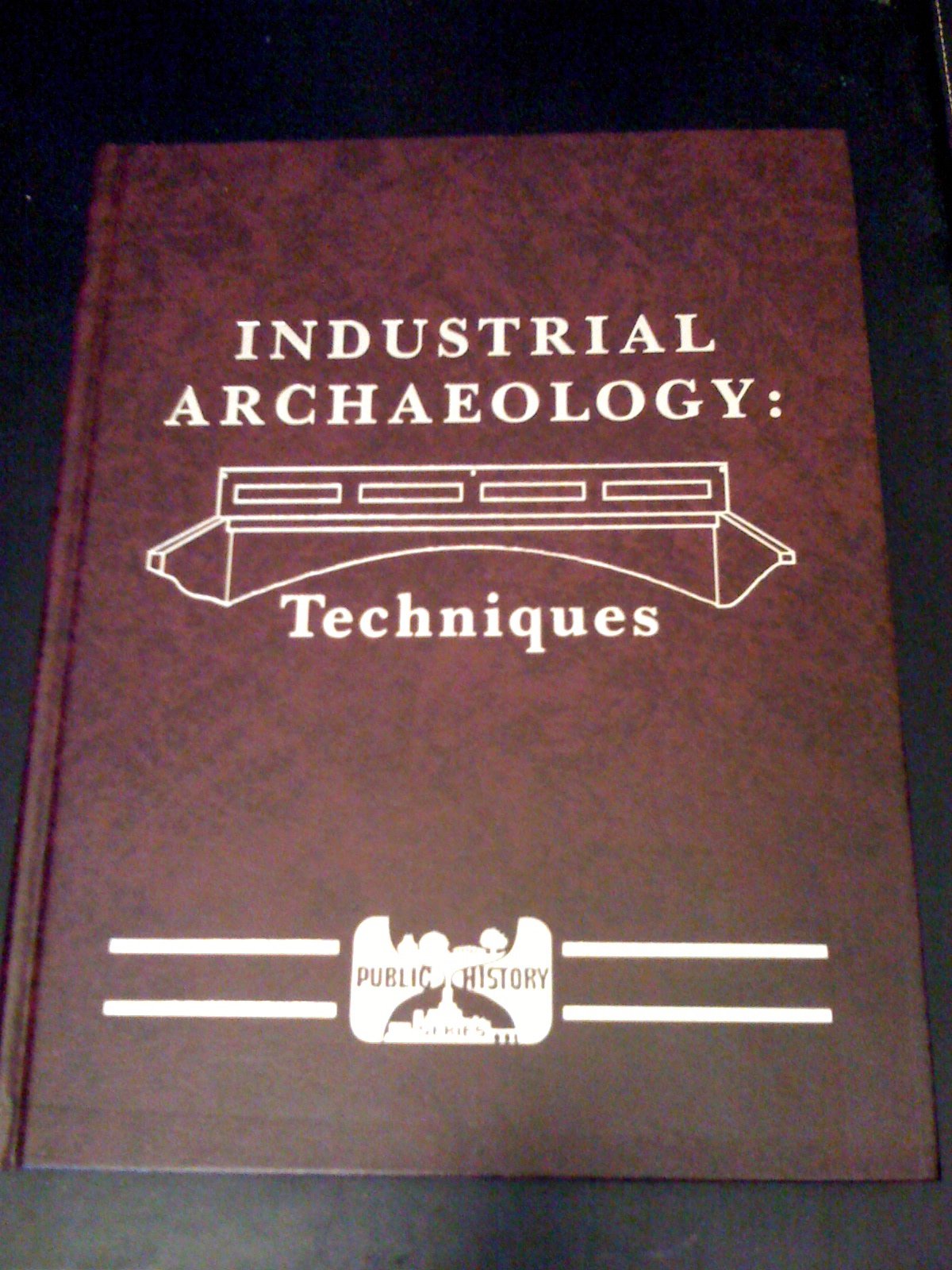 Industrial Archaeology: Techniques (Public History Series),Used