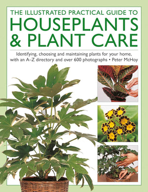 The Houseplants & Plant Care, Illustrated Practical Guide To: Identifying, Choosing And Maintaining Plants For Your Home, With A