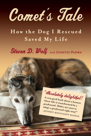 Comet'S Tale: How The Dog I Rescued Saved My Life