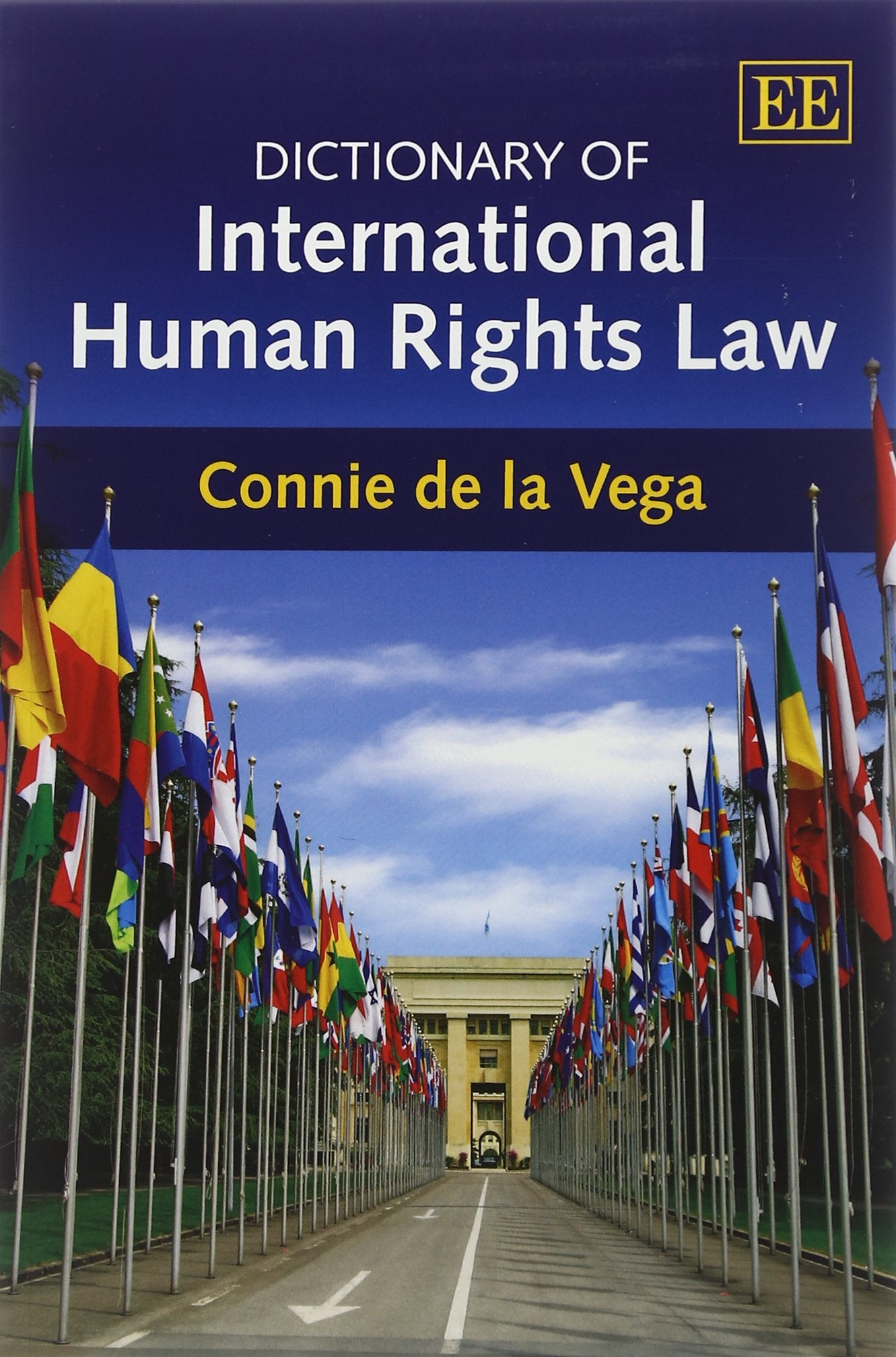 Dictionary of International Human Rights Law,Used