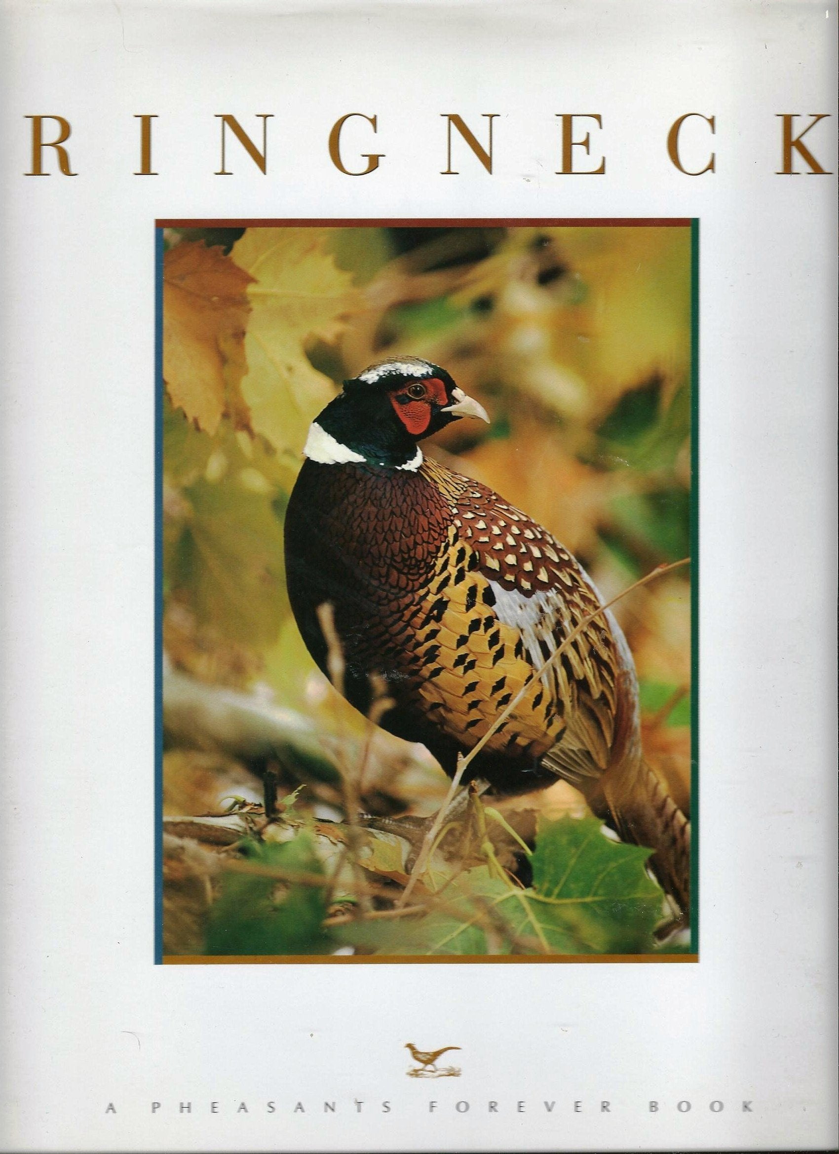 Ringneck,Used