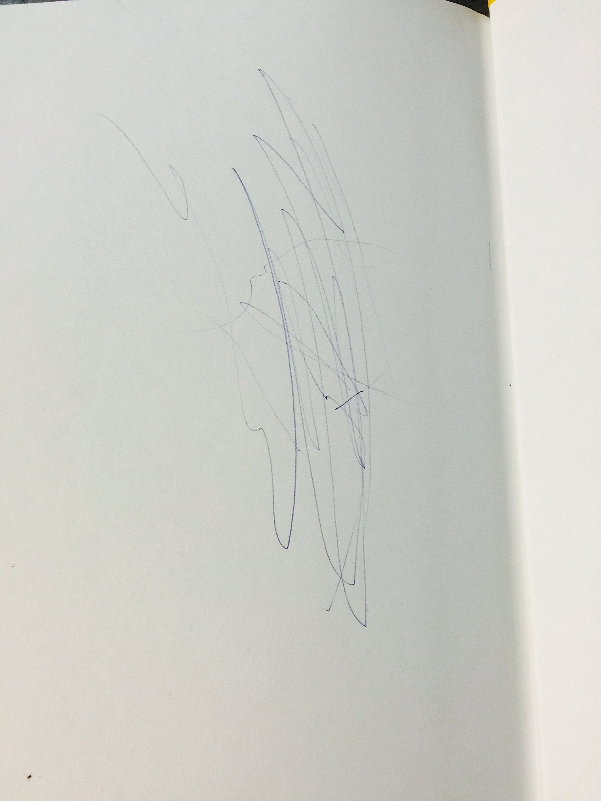 Economics: Principles in Action, California Edition,Used