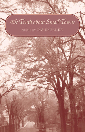 Truth about Small Towns: Poems,Used