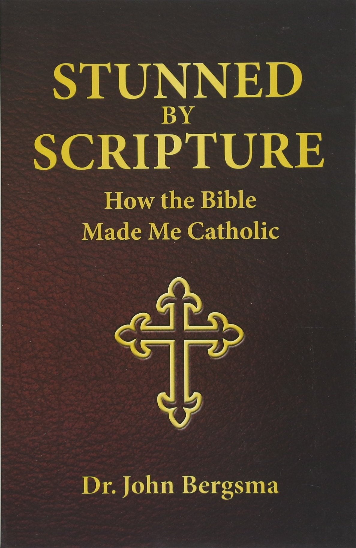 Stunned by Scripture: How the Bible Made Me Catholic,Used