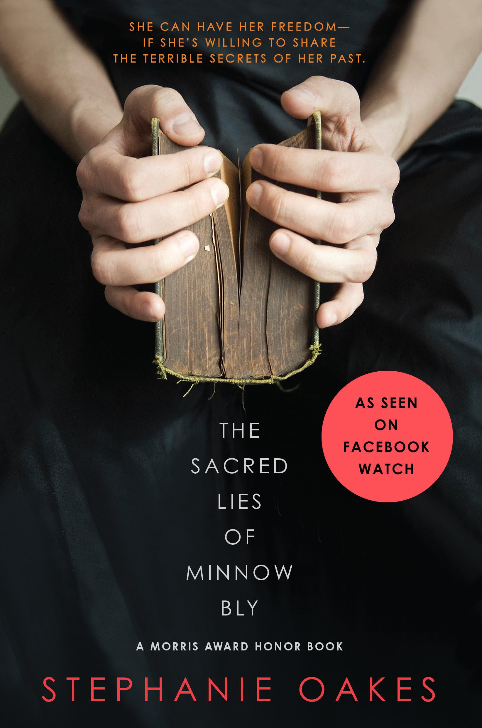 The Sacred Lies Of Minnow Bly,Used