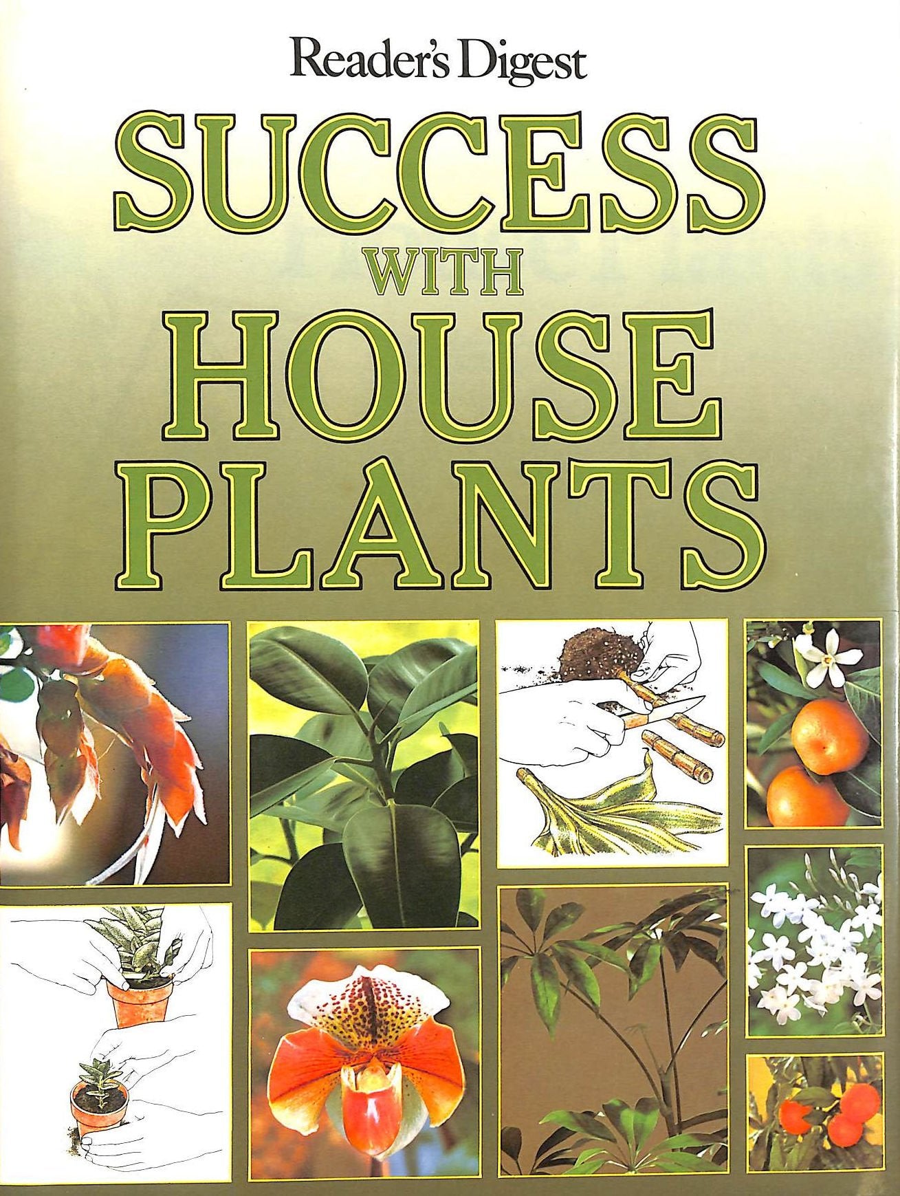 Success with House Plants,New
