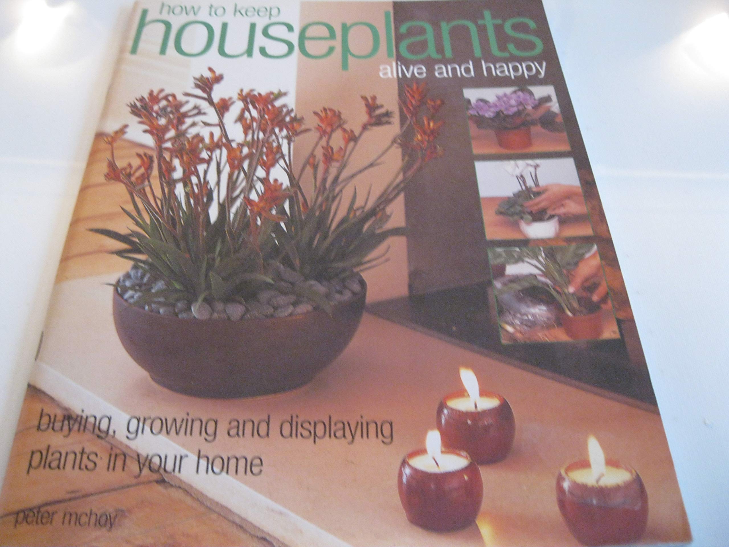 How to Keep Houseplants Alive and Happy: Buying, Growing and Displaying Plants in your Home,Used