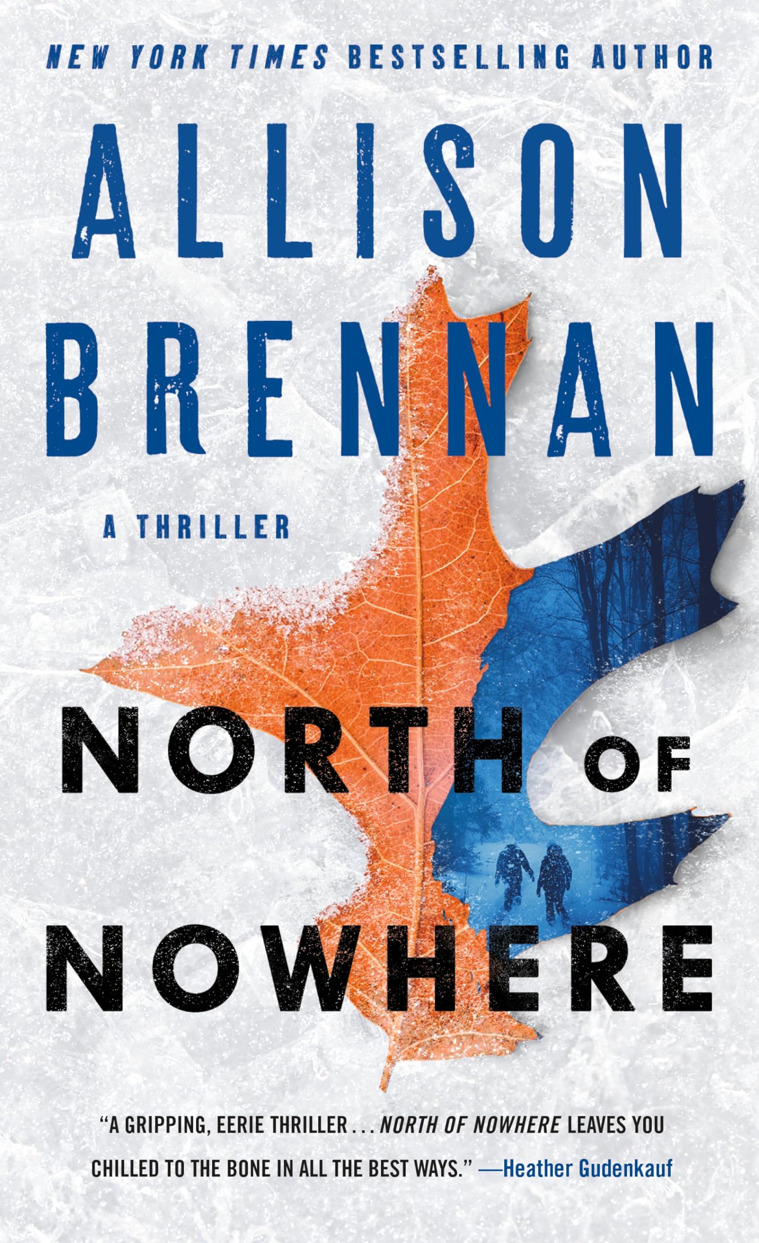 North Of Nowhere: A Thriller
