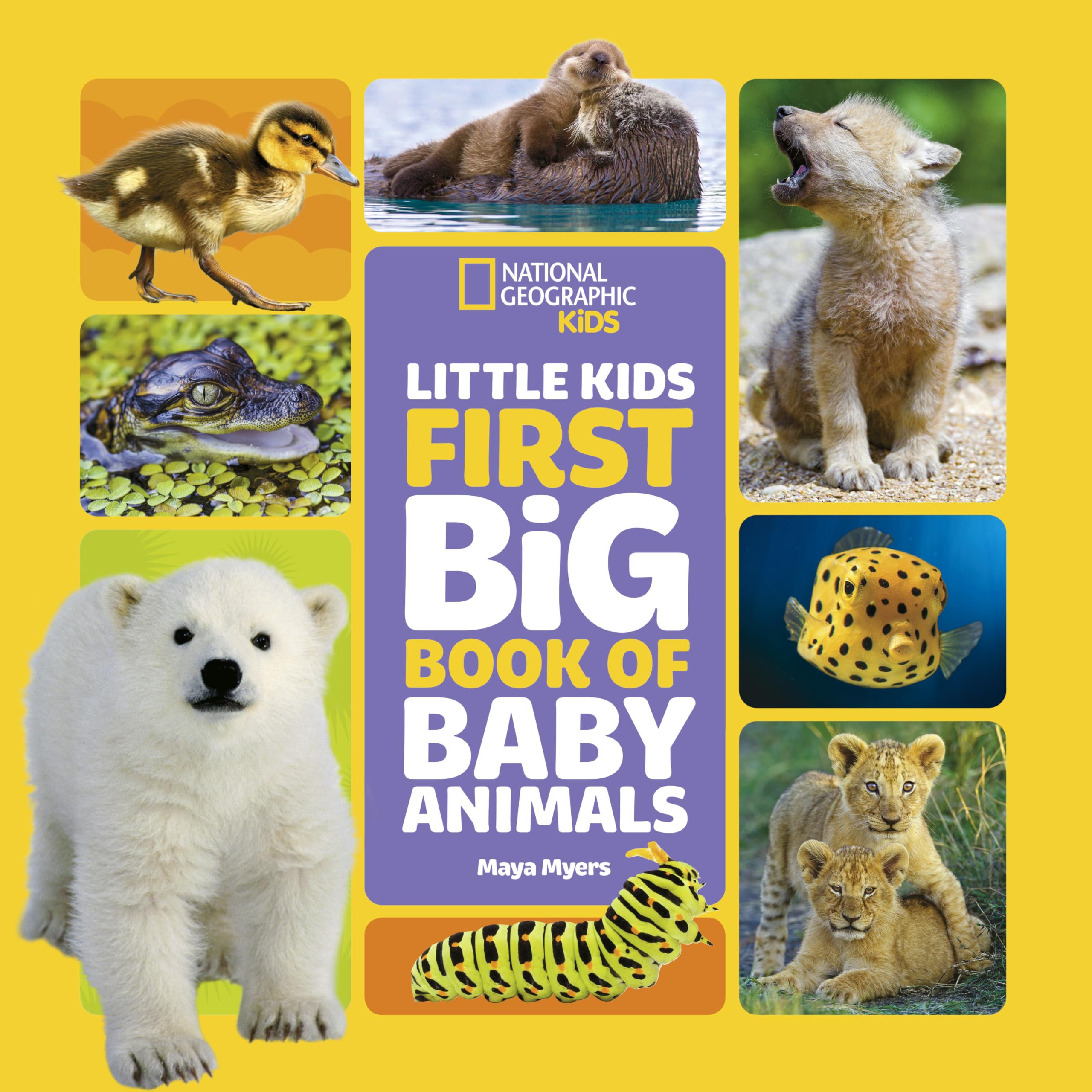 National Geographic Little Kids First Big Book Of Baby Animals (National Geographic Little Kids First Big Books)