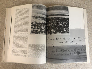 Wild Goose Marsh: Horicon Stopover,,Used