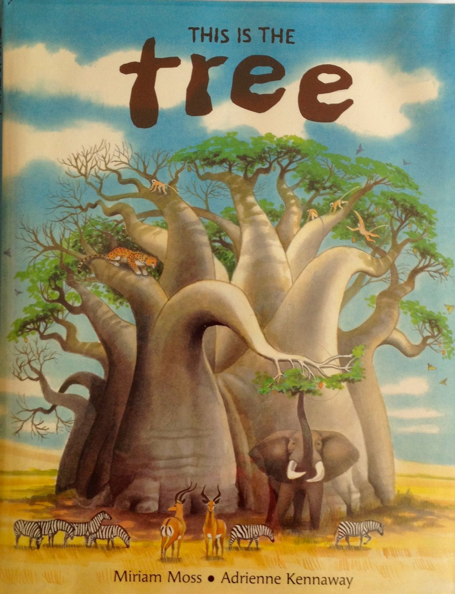 This Is the Tree (Children's Books from Around the WorldAfrica),Used