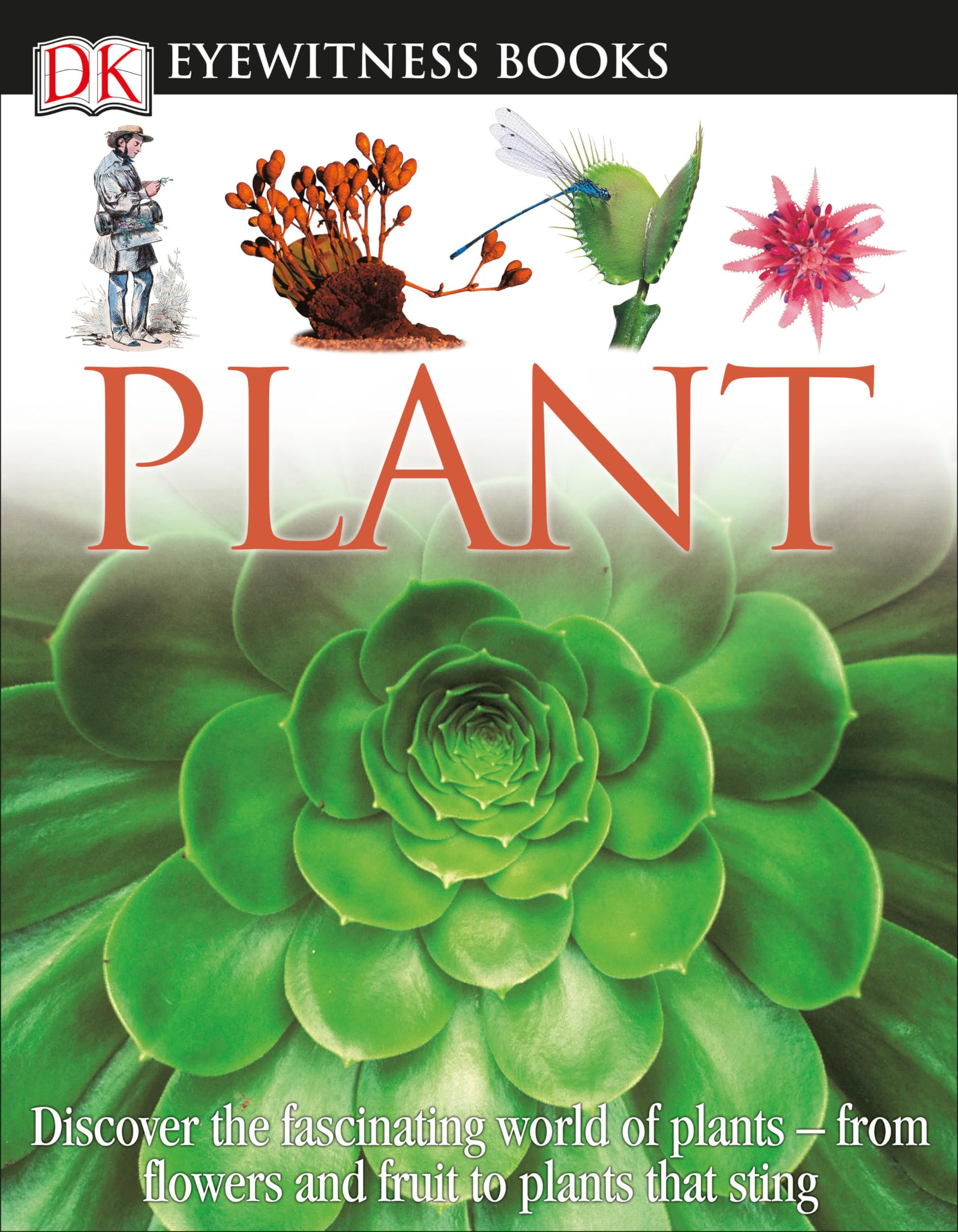 DK Eyewitness Books: Plant: Discover the Fascinating World of Plants,Used