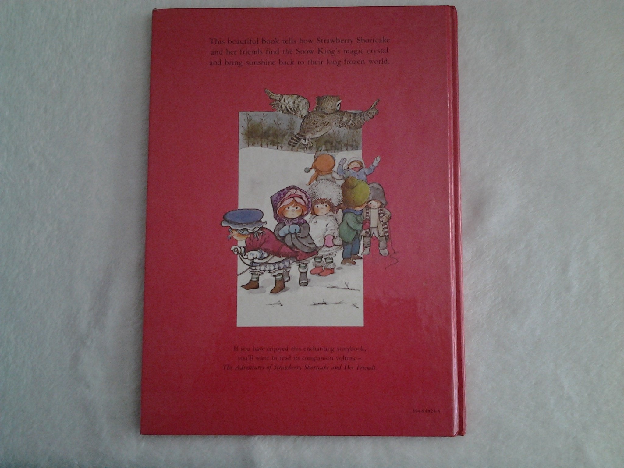 Strawberry Shortcake and the Winter That Would Not End,Used