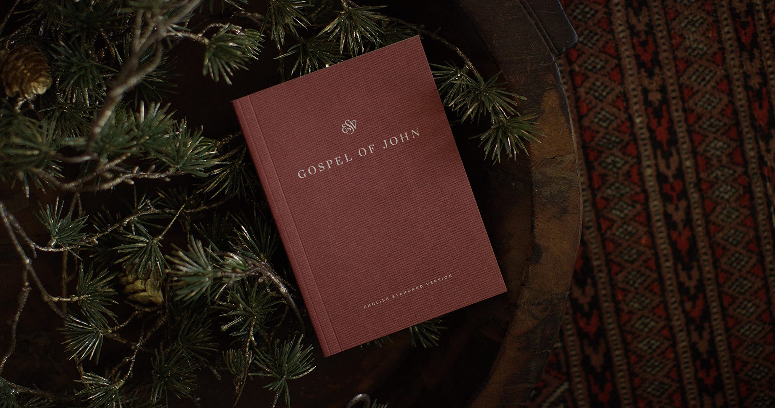 ESV Gospel of John, Share the Good News Edition (Paperback),Used