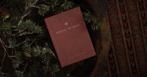 ESV Gospel of John, Share the Good News Edition (Paperback),Used