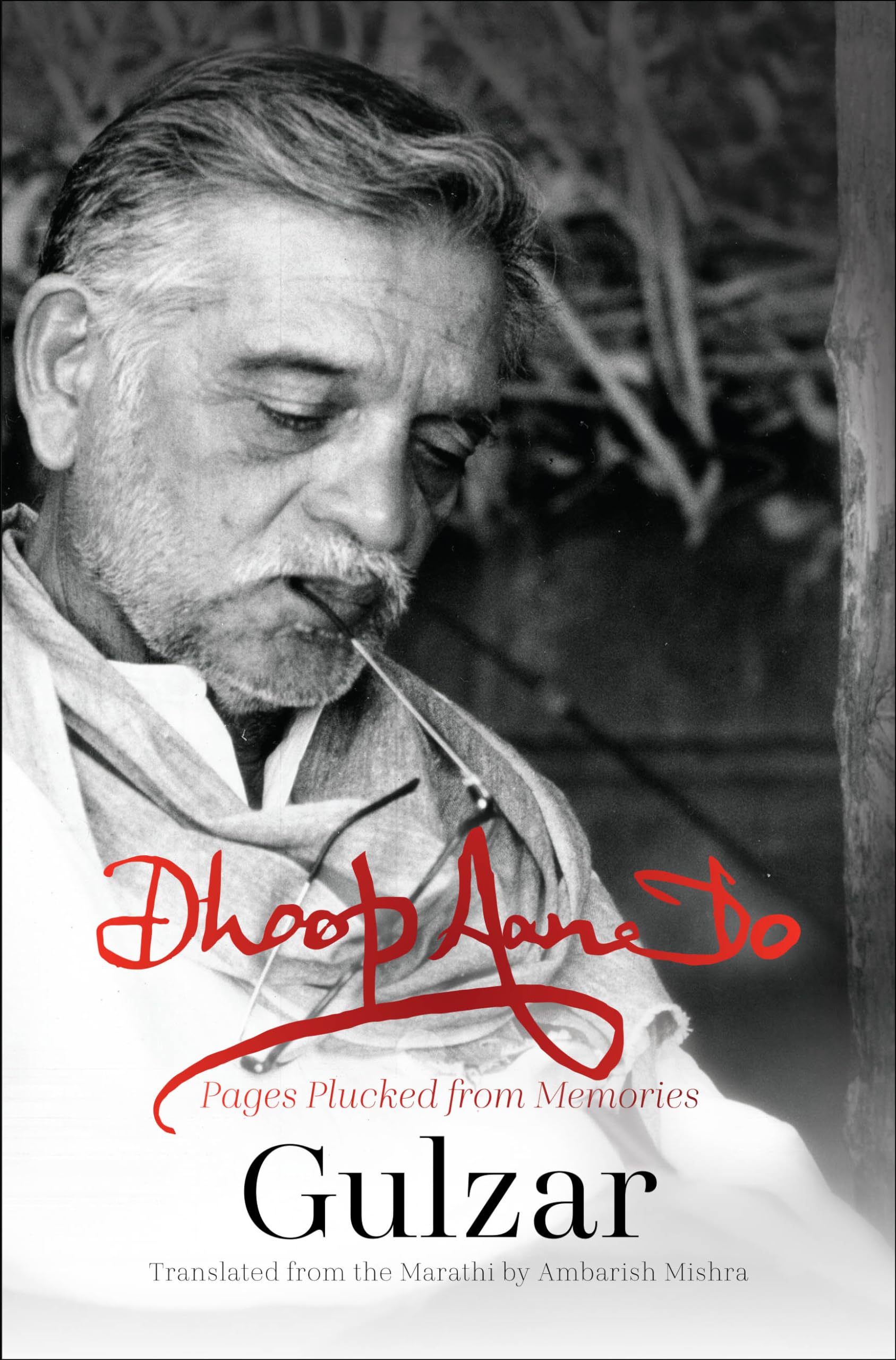 Dhoop Aane Do: Pages Plucked From Memories (English)