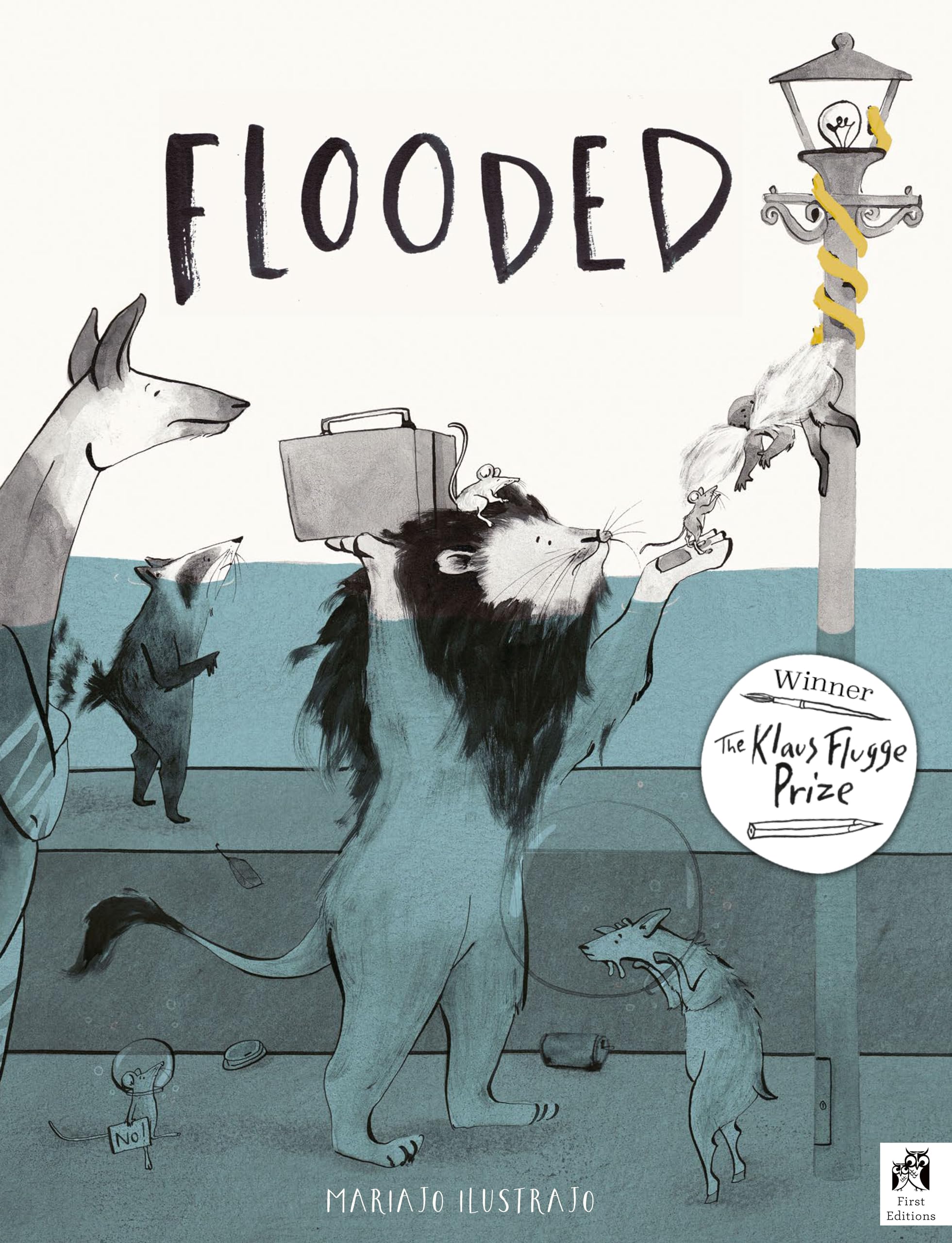Flooded: Winner Of The Klaus Flugge Prize For Illustration 2023,Used