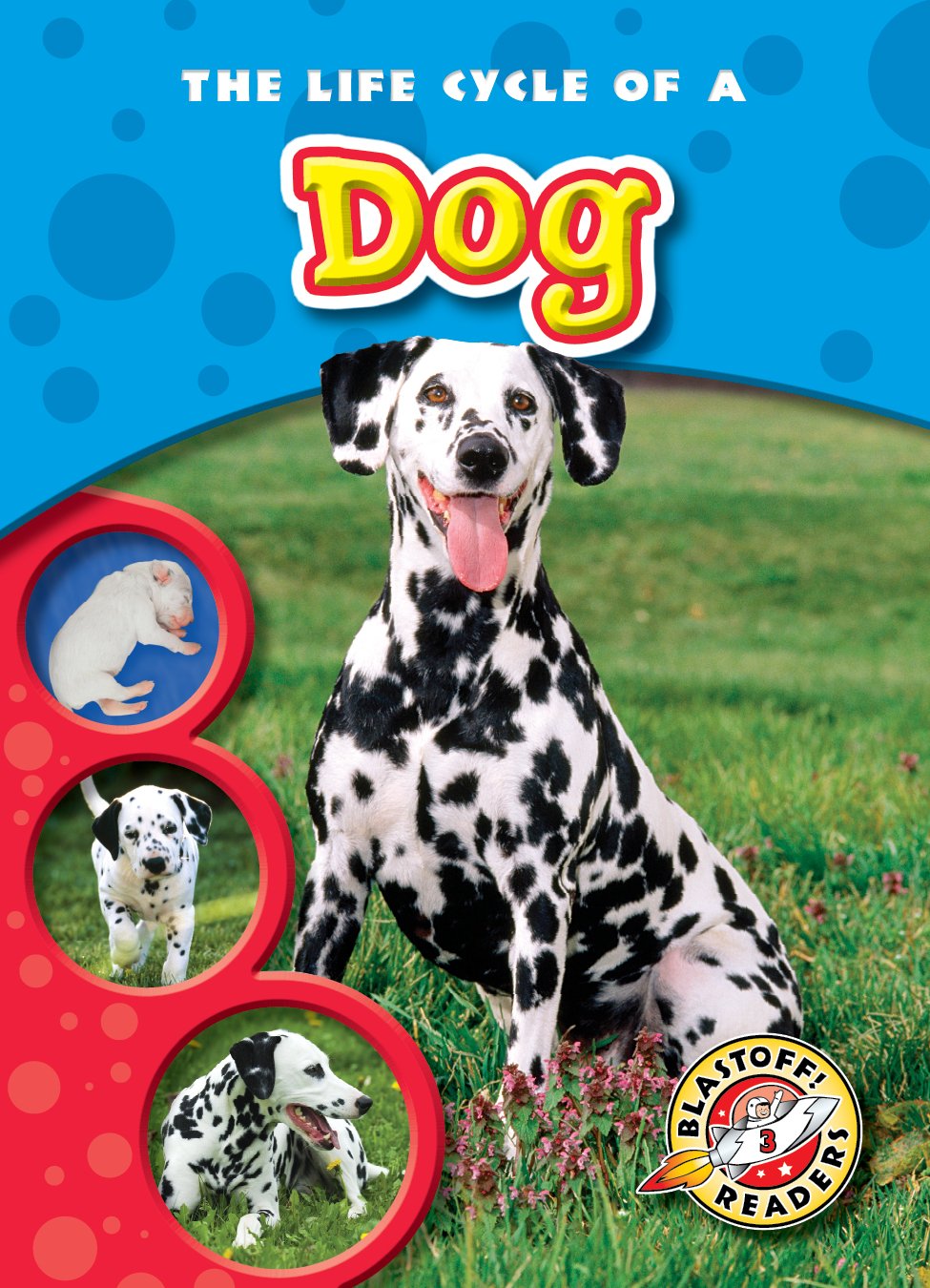 Life Cycle Of A Dog, The (Blastoff! Readers: Life Cycles) (Life Cycles: Blastoff Readers, Level 3),Used