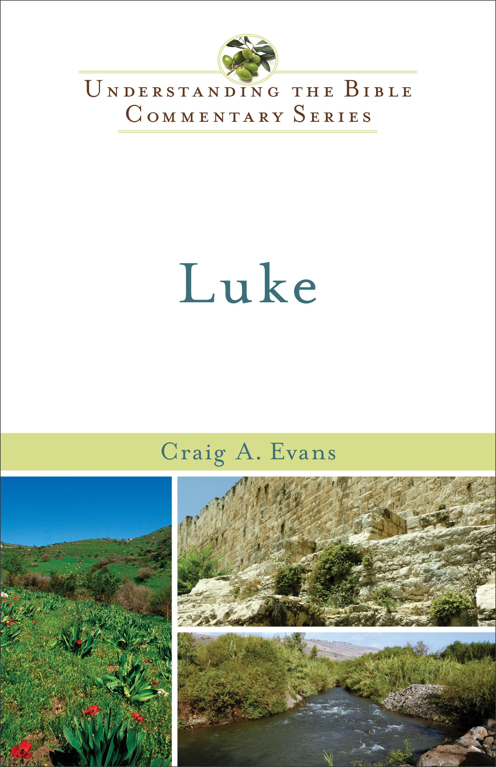 Luke (Understanding The Bible Commentary Series),New