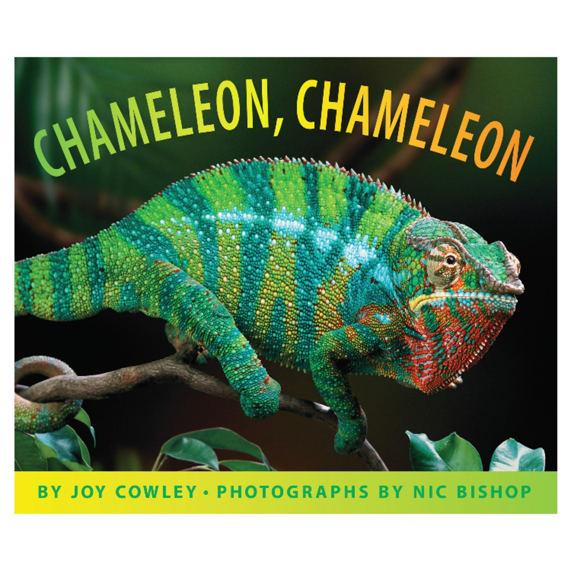 Chameleon, Chameleon,New