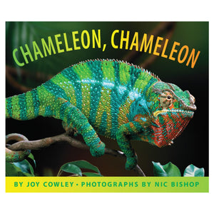 Chameleon, Chameleon,New