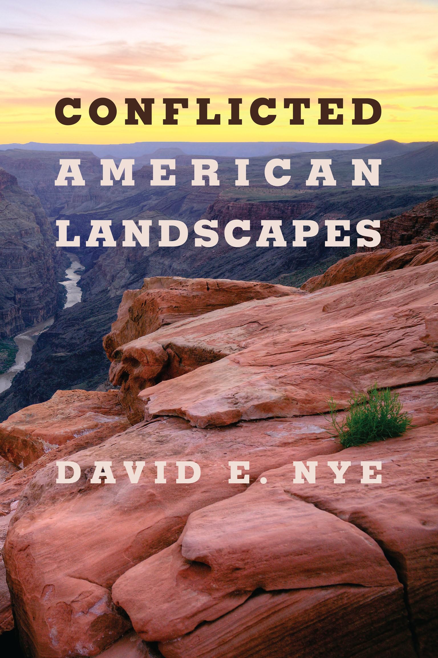 Conflicted American Landscapes,Used
