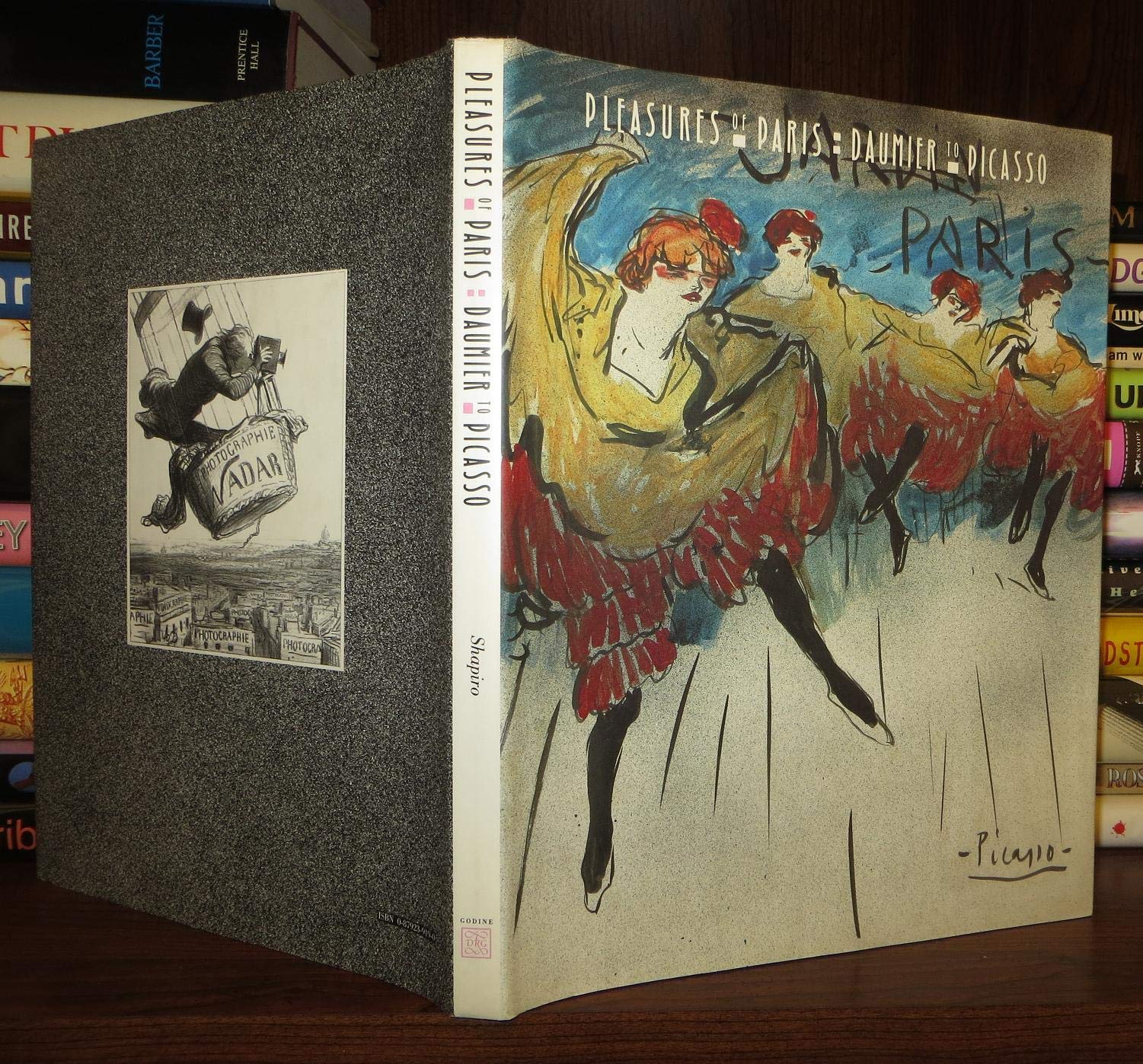 Pleasures of Paris: Daumier to Picasso,Used