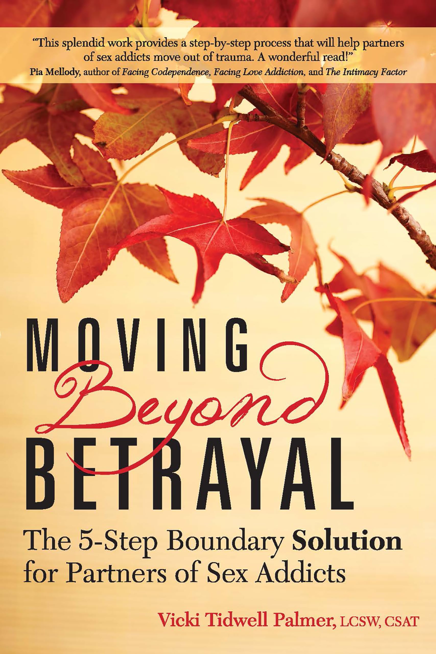 Moving Beyond Betrayal: The 5Step Boundary Solution For Partners Of Sex Addicts