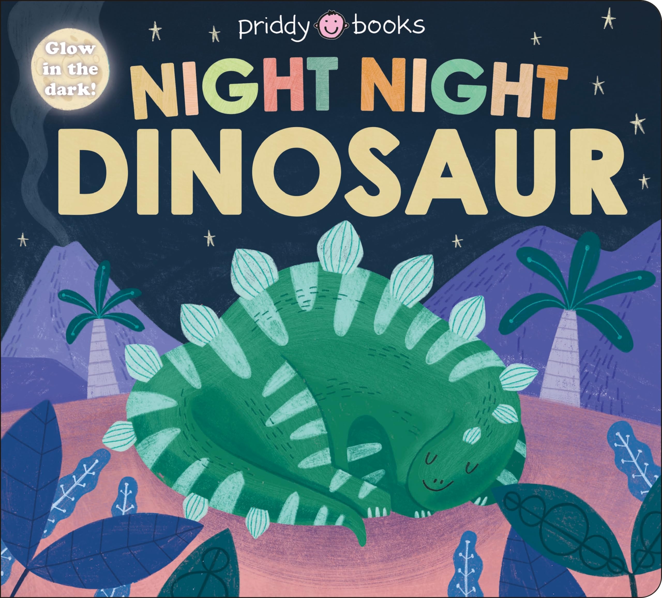 Night Night Books: Night Night Dinosaur,Used