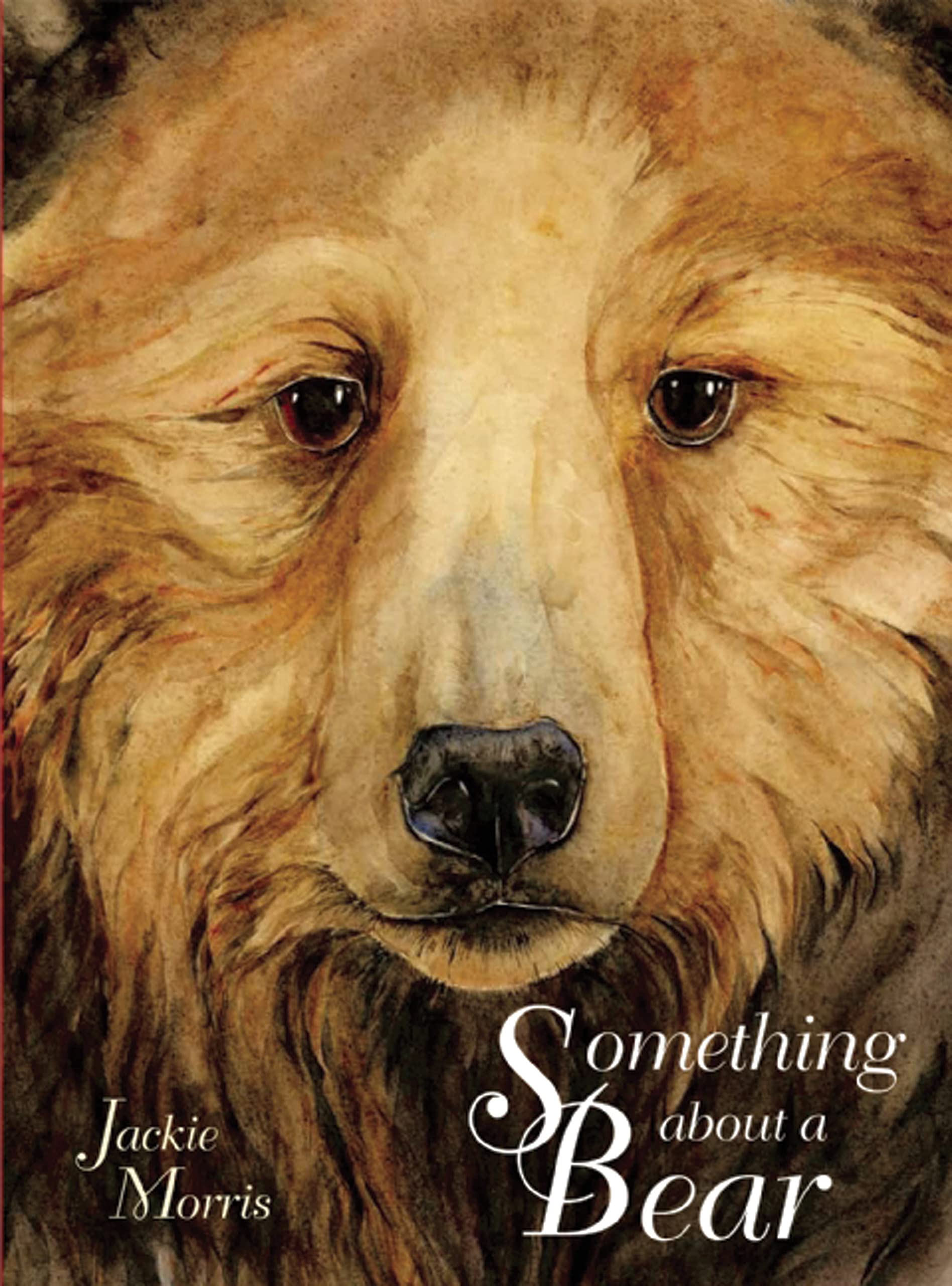 Something About A Bear,Used