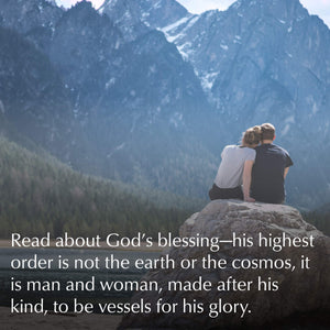 The Book of Genesis: Firstfruits (The Passion Translation) (Paperback)  A Heartfelt Translation of the Book of Genesis and the ,Used