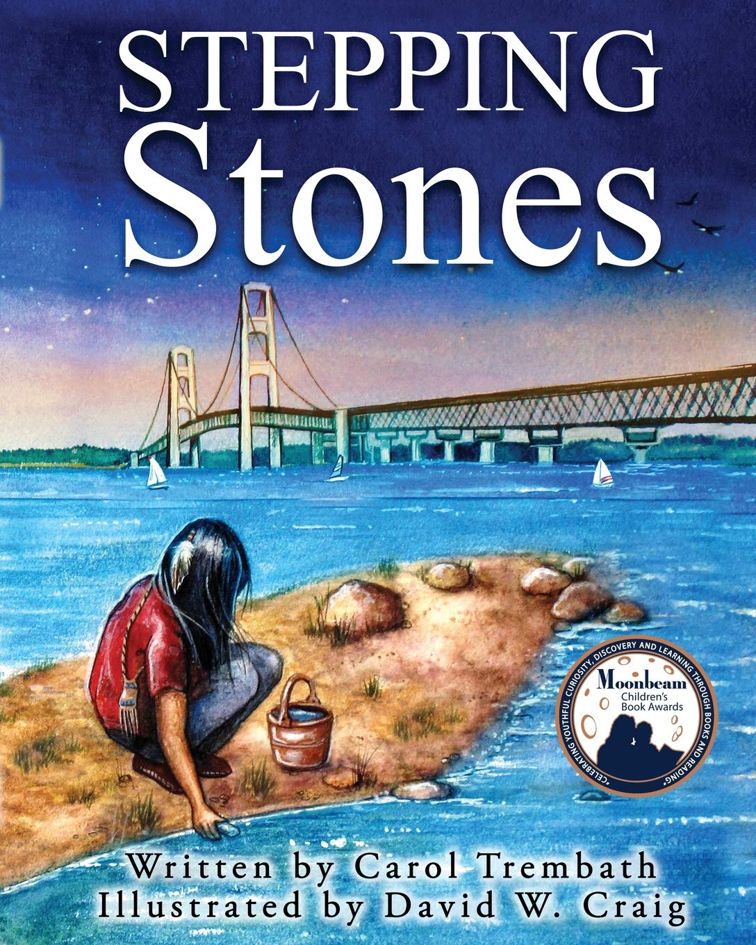 Stepping Stones: Walking Lake Michigan (Water Walkers),Used