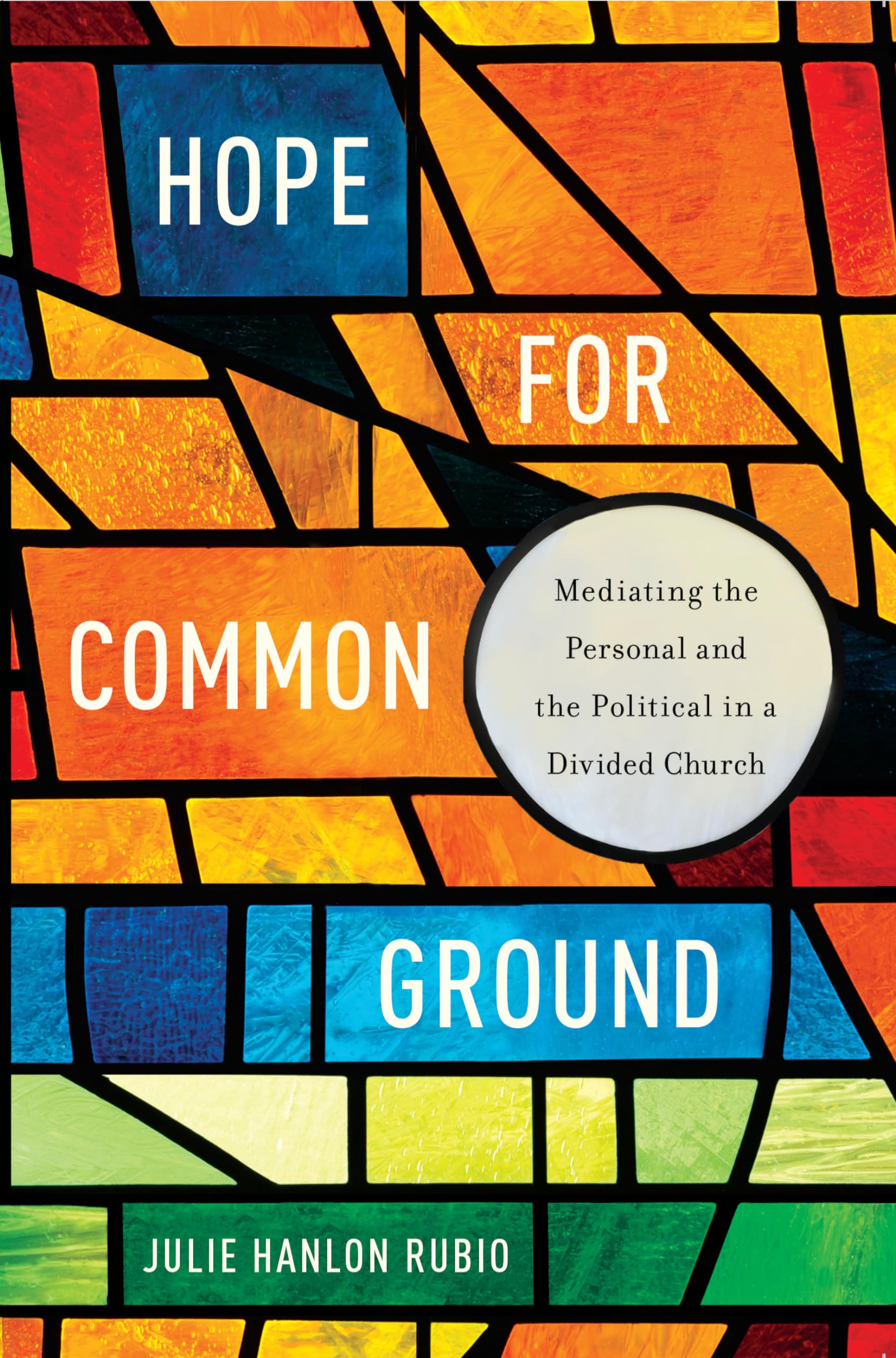 Hope For Common Ground: Mediating The Personal And The Political In A Divided Church (Moral Traditions),Used