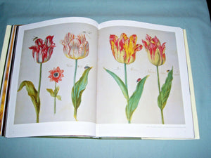 The Tulip Anthology,New