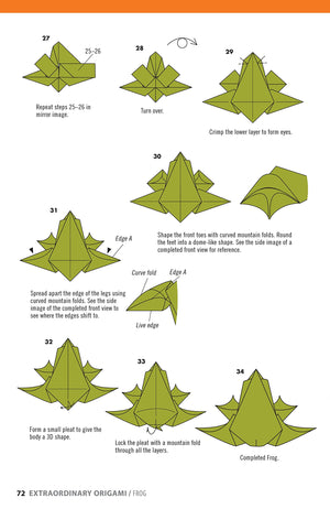 Extraordinary Origami: 20 Projects from Contemporary American Masters (Fox Chapel Publishing) StepbyStep Instructions for Frog,Used