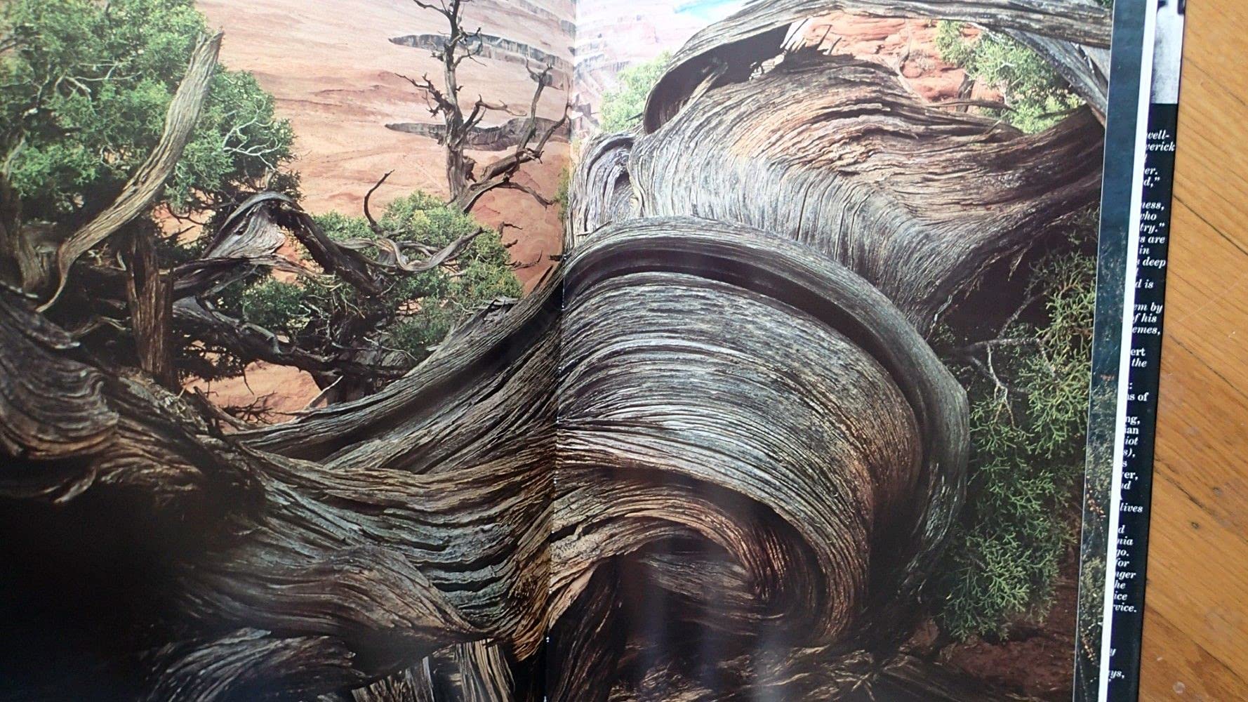 Desert Images