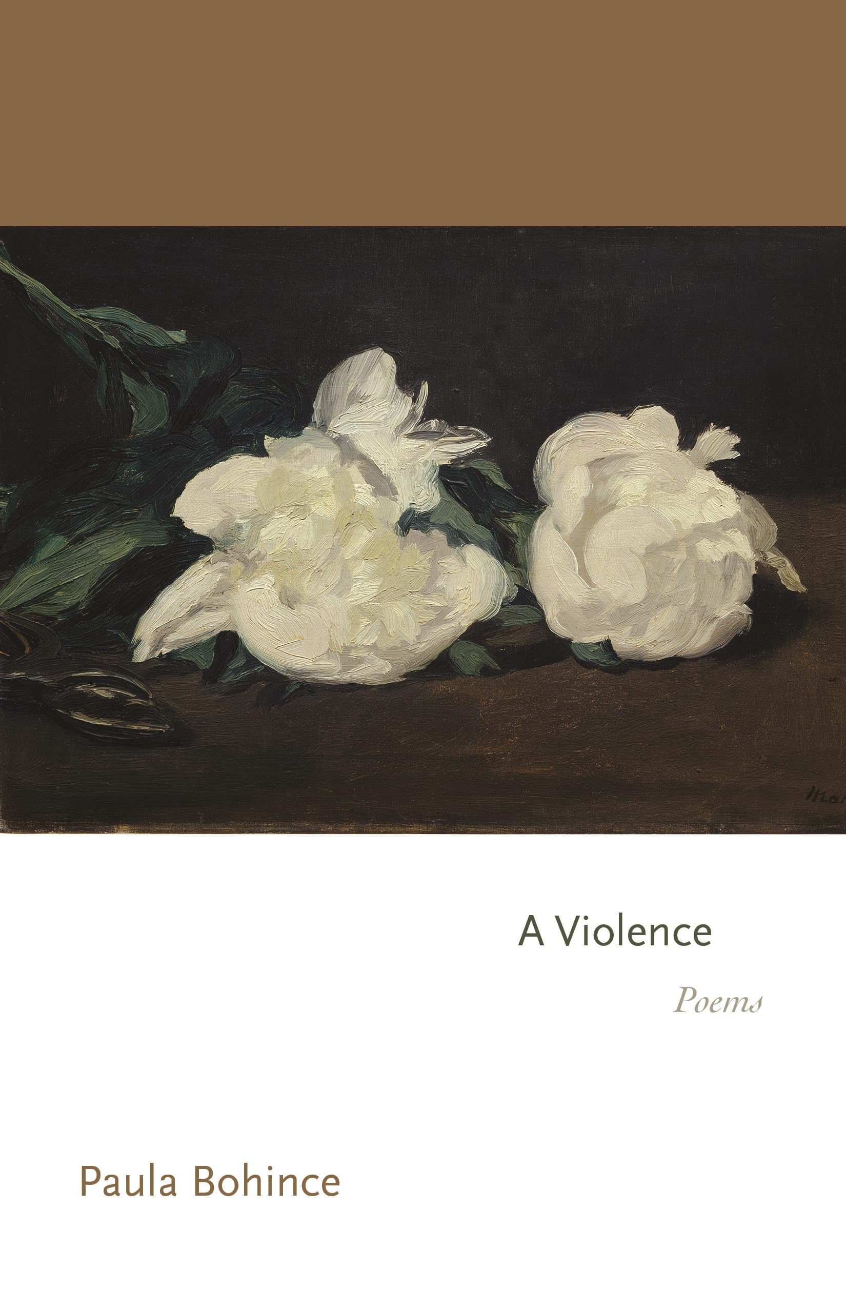 A Violence: Poems (Princeton Series Of Contemporary Poets)