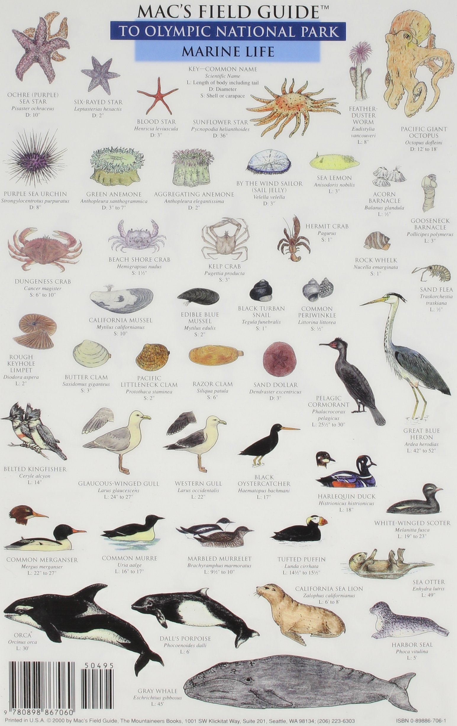 Mac's Field Guide To Olympic National Park: Land Animals / Marine Life,Used
