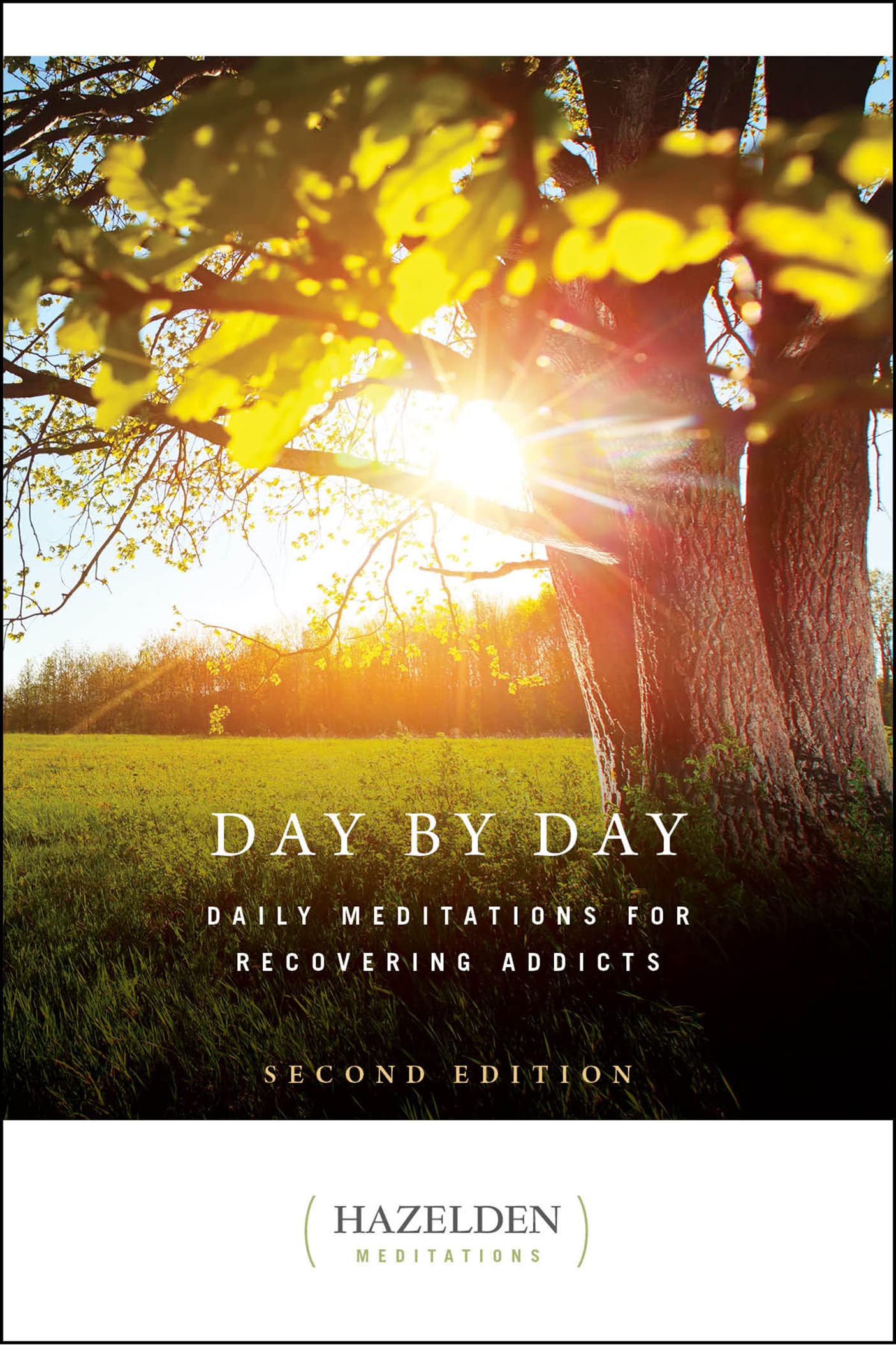Day by Day: Daily Meditations for Recovering Addicts, Second Edition (Hazelden Meditations),Used