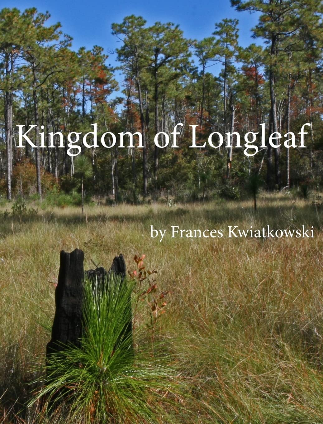 Kingdom Of Longleaf,Used