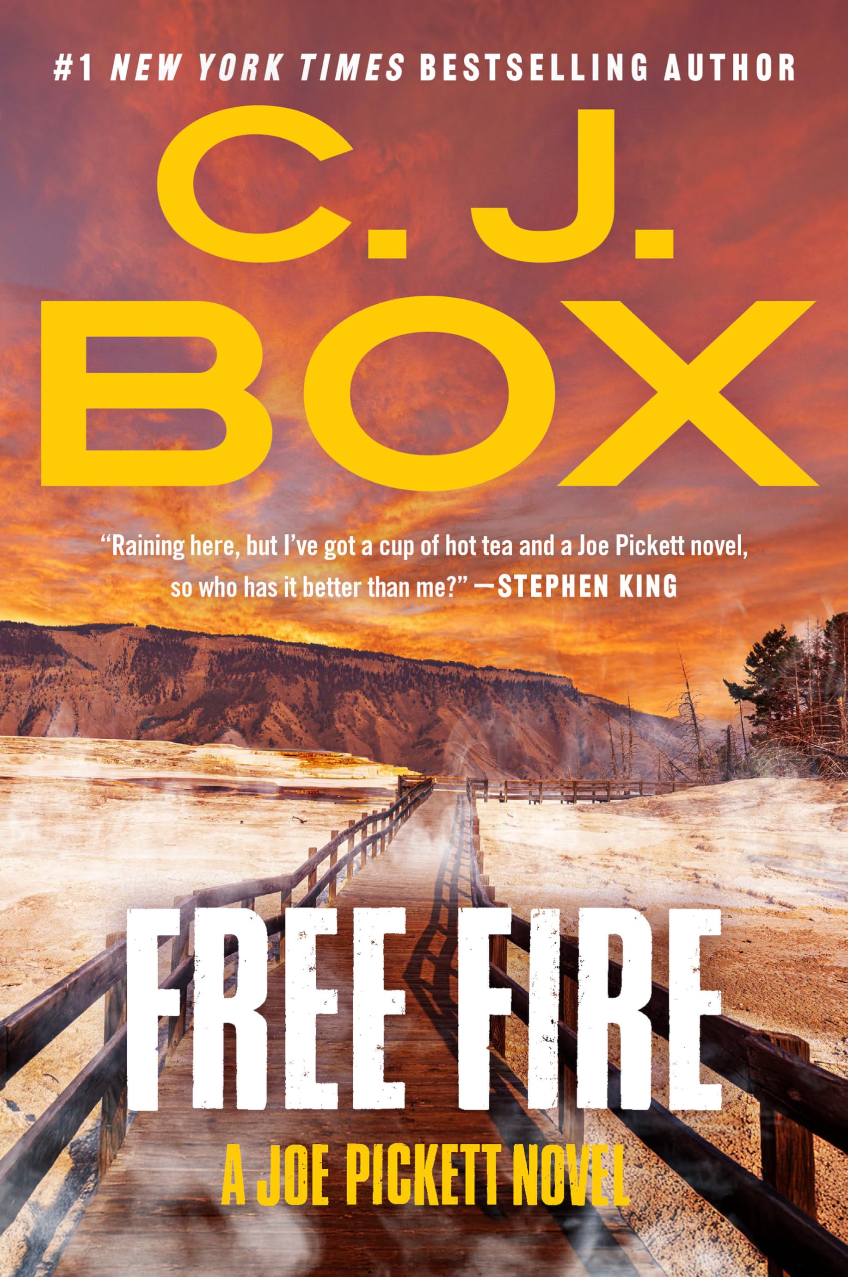 Free Fire (A Joe Pickett Novel)